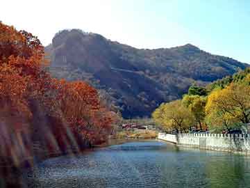 管家婆黑白马报图库，生铁屑压块